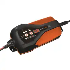 Bly- og Lithiumslader i ett